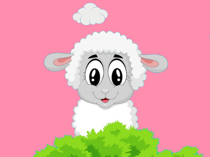 The Modern Rules Of Minimal