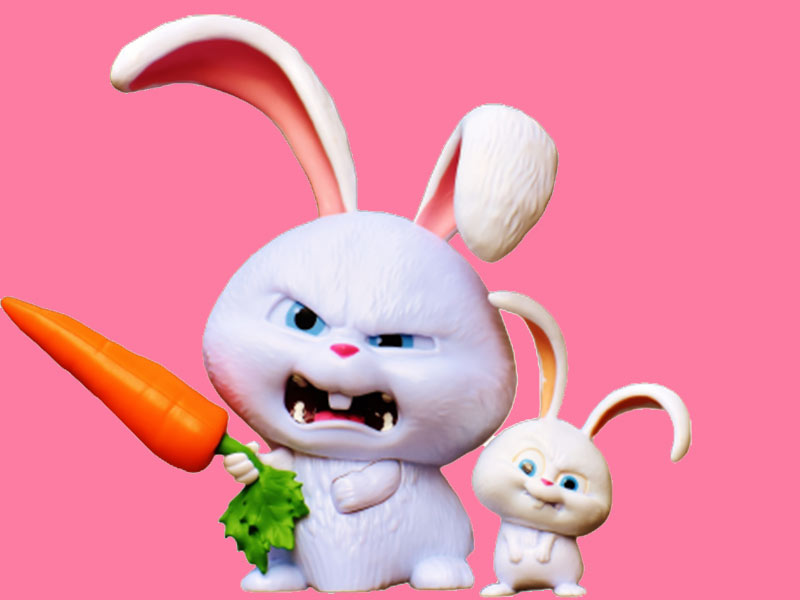 Why Is Everyone Talking About Minimal?