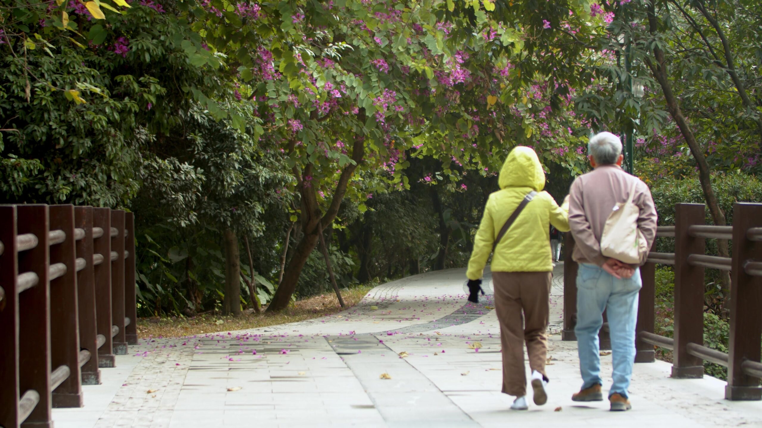 鐘點移工申請常見問題 多元陪伴照顧服務試辦計畫 新增6家試辦單位即日起提供服務